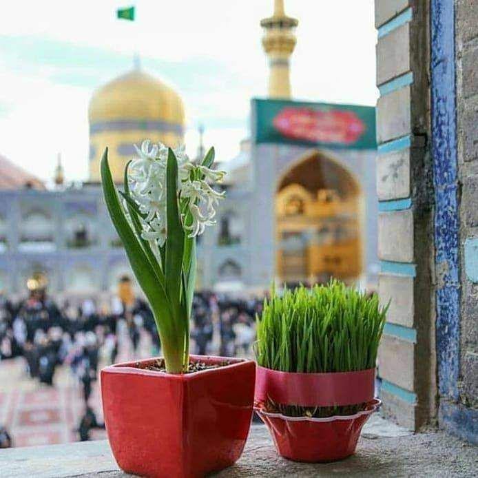 اضغط على الصورة لعرض أكبر.&nbsp;

الإسم:	photo_2021-06-21_13-23-36.jpg&nbsp;
مشاهدات:	1121&nbsp;
الحجم:	88.3 كيلوبايت&nbsp;
الهوية:	918455