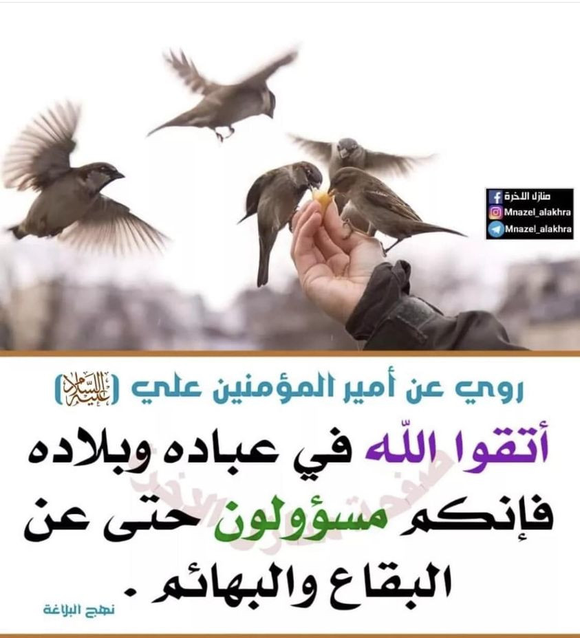 اضغط على الصورة لعرض أكبر.&nbsp;

الإسم:	396931031_657641833148550_8251262969101348039_n.jpg&nbsp;
مشاهدات:	240&nbsp;
الحجم:	120.7 كيلوبايت&nbsp;
الهوية:	994198