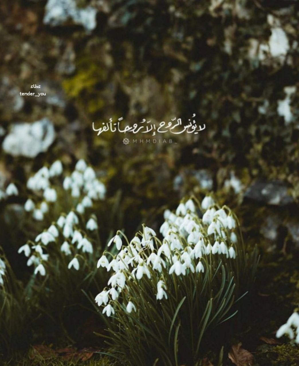 اضغط على الصورة لعرض أكبر.&nbsp;

الإسم:	photo_2020-11-04_15-55-36.jpg&nbsp;
مشاهدات:	1457&nbsp;
الحجم:	174.3 كيلوبايت&nbsp;
الهوية:	905888