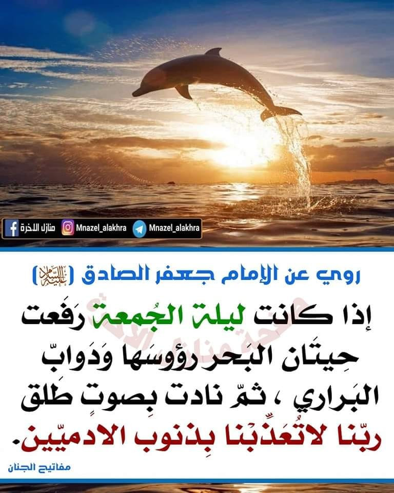 اضغط على الصورة لعرض أكبر.&nbsp;

الإسم:	393772635_880509570180864_7344254811470874011_n.jpg&nbsp;
مشاهدات:	191&nbsp;
الحجم:	159.8 كيلوبايت&nbsp;
الهوية:	993314