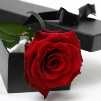 اضغط على الصورة لعرض أكبر.&nbsp;

الإسم:	image-931885feeb3d95423da5e77b0824807514d23b9c8337cf9ef3bec05bb995da0f-V.jpg&nbsp;
مشاهدات:	1&nbsp;
الحجم:	54.6 كيلوبايت&nbsp;
الهوية:	862039