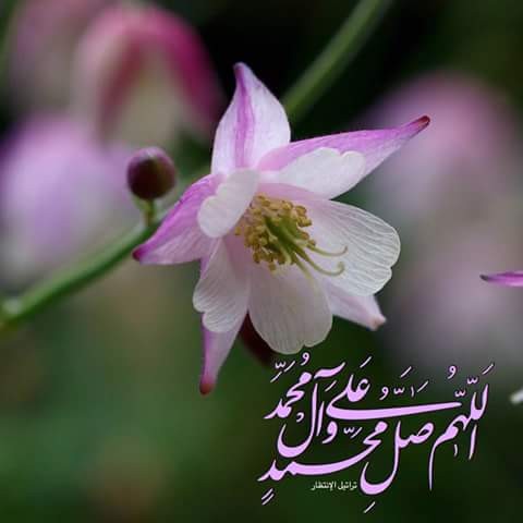 اضغط على الصورة لعرض أكبر.&nbsp;

الإسم:	FB_IMG_1492447051071.jpg&nbsp;
مشاهدات:	763&nbsp;
الحجم:	27.7 كيلوبايت&nbsp;
الهوية:	883208