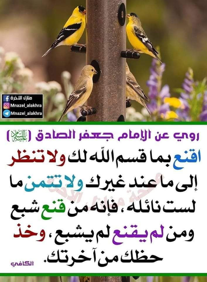 اضغط على الصورة لعرض أكبر.&nbsp;

الإسم:	photo_2022-12-13_12-20-40.jpg&nbsp;
مشاهدات:	324&nbsp;
الحجم:	146.0 كيلوبايت&nbsp;
الهوية:	961943