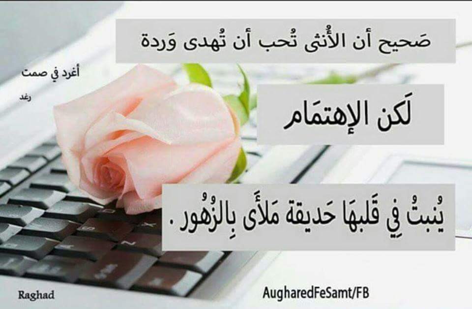 اضغط على الصورة لعرض أكبر.&nbsp;

الإسم:	IMG_496021004458381.jpeg&nbsp;
مشاهدات:	659&nbsp;
الحجم:	73.4 كيلوبايت&nbsp;
الهوية:	893334