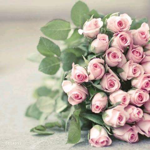 اضغط على الصورة لعرض أكبر.&nbsp;

الإسم:	FB_IMG_1471168497250.jpg&nbsp;
مشاهدات:	3&nbsp;
الحجم:	28.1 كيلوبايت&nbsp;
الهوية:	860020
