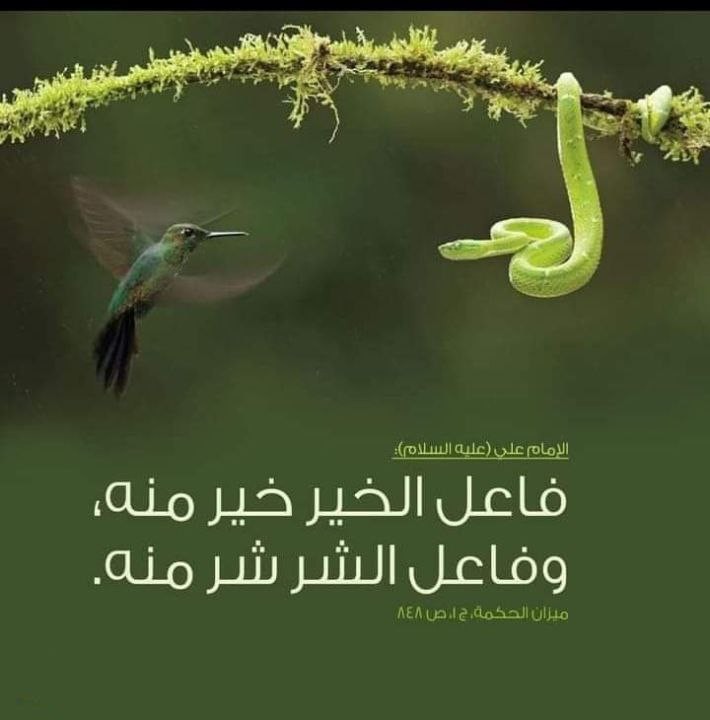 اضغط على الصورة لعرض أكبر.&nbsp;

الإسم:	photo_2022-05-12_14-32-24.jpg&nbsp;
مشاهدات:	514&nbsp;
الحجم:	56.5 كيلوبايت&nbsp;
الهوية:	946403