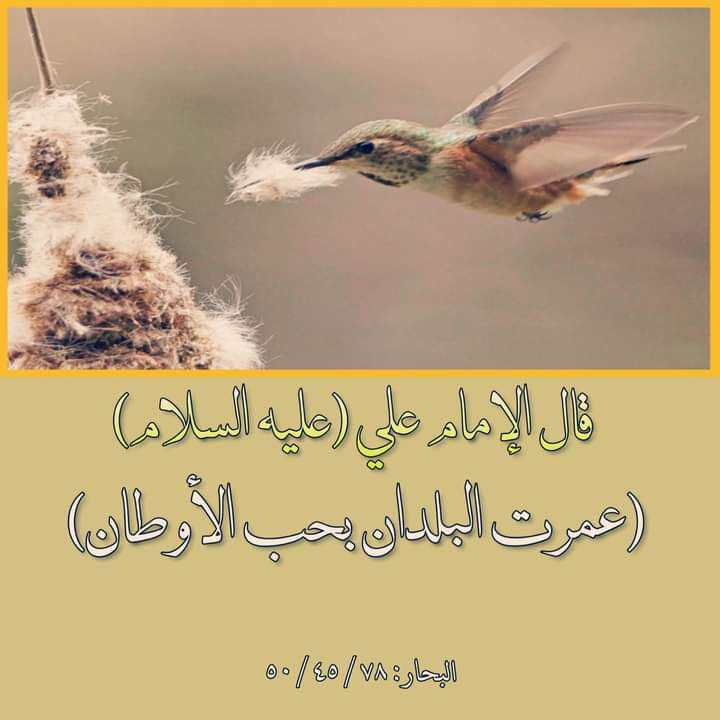 اضغط على الصورة لعرض أكبر.&nbsp;

الإسم:	photo_2022-07-28_13-06-42.jpg&nbsp;
مشاهدات:	299&nbsp;
الحجم:	78.2 كيلوبايت&nbsp;
الهوية:	951308