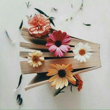 اضغط على الصورة لعرض أكبر.&nbsp;

الإسم:	photo_2017-01-17_20-24-17.jpg&nbsp;
مشاهدات:	553&nbsp;
الحجم:	31.4 كيلوبايت&nbsp;
الهوية:	904745