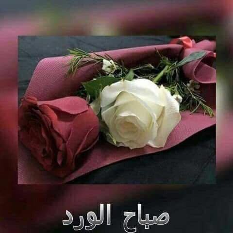 اضغط على الصورة لعرض أكبر.&nbsp;

الإسم:	IMG-20170314-WA0018.jpg&nbsp;
مشاهدات:	1&nbsp;
الحجم:	23.6 كيلوبايت&nbsp;
الهوية:	862460