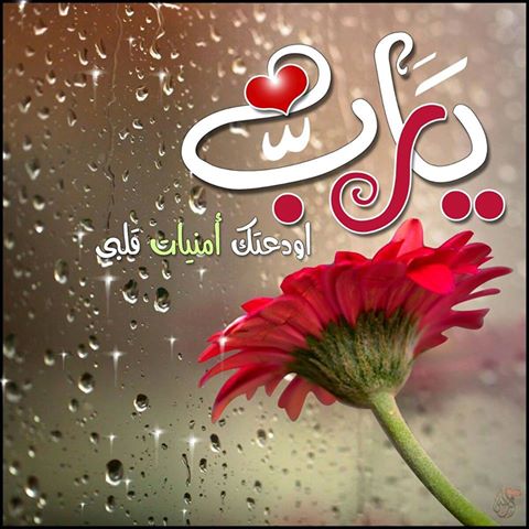 اضغط على الصورة لعرض أكبر.&nbsp;

الإسم:	يارررب.jpg&nbsp;
مشاهدات:	1&nbsp;
الحجم:	48.2 كيلوبايت&nbsp;
الهوية:	861017