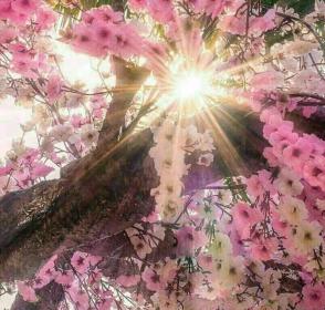 اضغط على الصورة لعرض أكبر.&nbsp;

الإسم:	received_120865922106373.jpg&nbsp;
مشاهدات:	1&nbsp;
الحجم:	22.1 كيلوبايت&nbsp;
الهوية:	862069