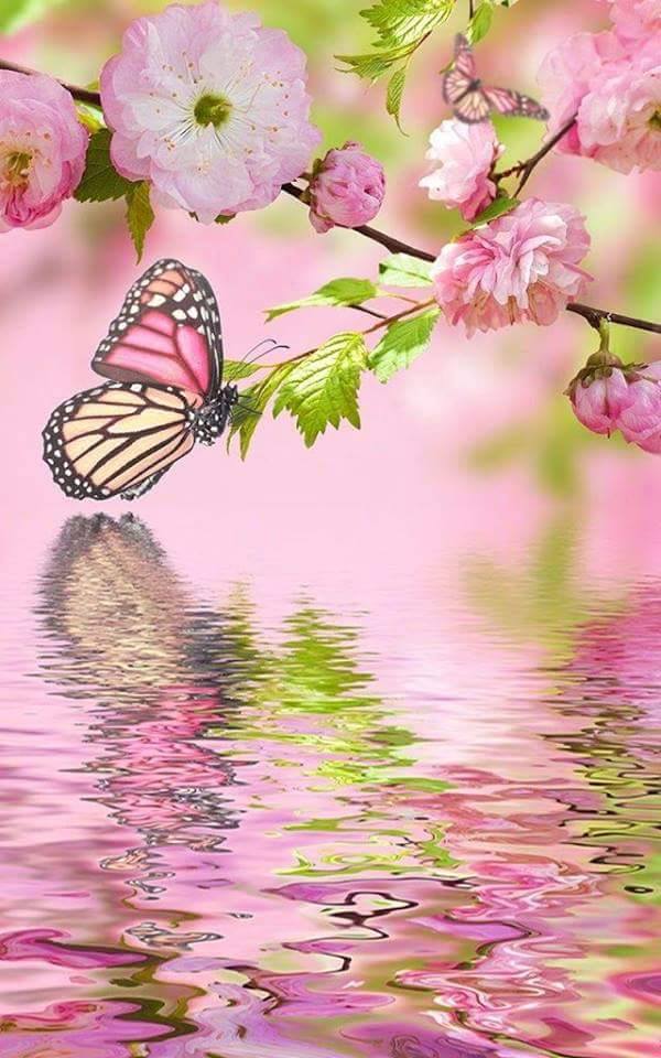 اضغط على الصورة لعرض أكبر.&nbsp;

الإسم:	11217512_532037906977894_2204893340657687364_n.jpg&nbsp;
مشاهدات:	2&nbsp;
الحجم:	83.4 كيلوبايت&nbsp;
الهوية:	860292