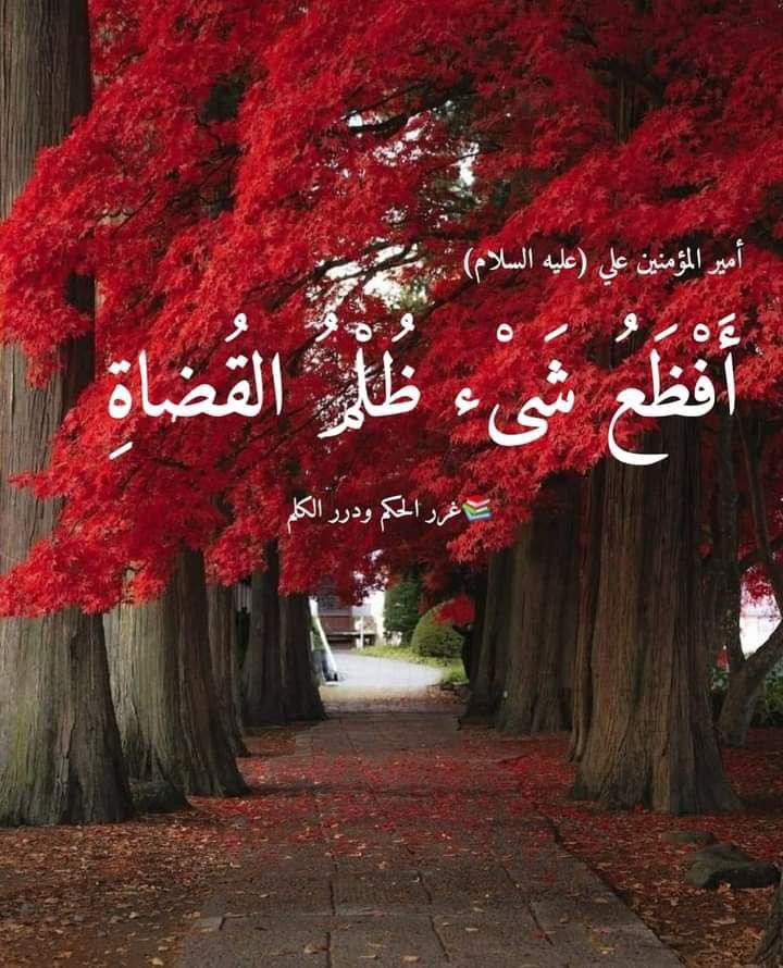 اضغط على الصورة لعرض أكبر.&nbsp;

الإسم:	photo_2021-10-12_06-54-15.jpg&nbsp;
مشاهدات:	277&nbsp;
الحجم:	156.8 كيلوبايت&nbsp;
الهوية:	926797