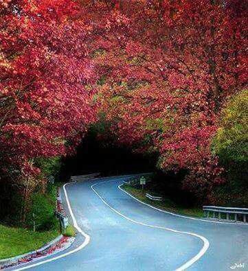 اضغط على الصورة لعرض أكبر.&nbsp;

الإسم:	photo_2016-10-20_22-01-42.jpg&nbsp;
مشاهدات:	460&nbsp;
الحجم:	62.0 كيلوبايت&nbsp;
الهوية:	877986