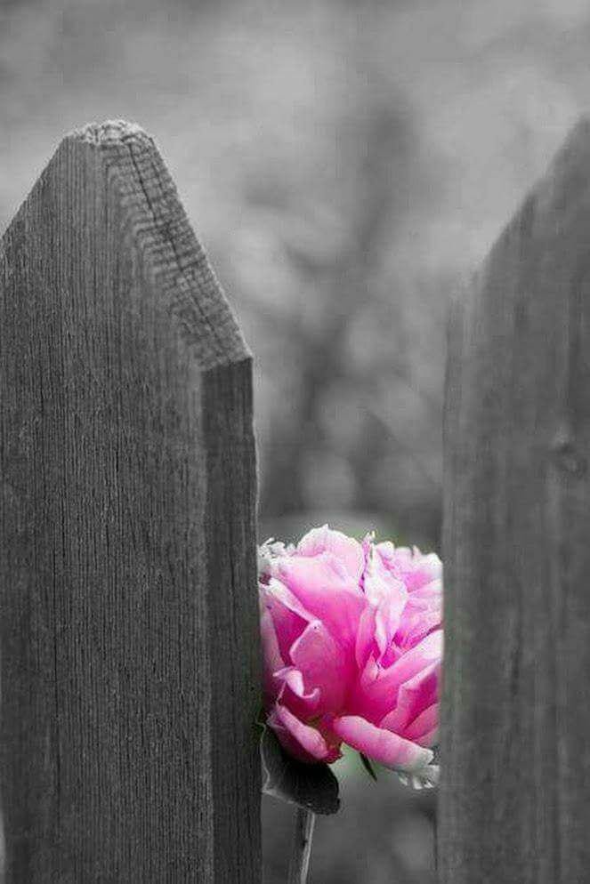 اضغط على الصورة لعرض أكبر.&nbsp;

الإسم:	photo_2017-07-12_13-30-01.jpg&nbsp;
مشاهدات:	618&nbsp;
الحجم:	86.7 كيلوبايت&nbsp;
الهوية:	881836