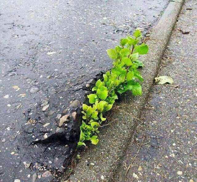 اضغط على الصورة لعرض أكبر.&nbsp;

الإسم:	photo_2016-03-16_21-38-04.jpg&nbsp;
مشاهدات:	388&nbsp;
الحجم:	195.6 كيلوبايت&nbsp;
الهوية:	923052