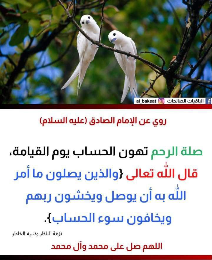اضغط على الصورة لعرض أكبر.&nbsp;

الإسم:	photo_2021-09-13_05-35-13.jpg&nbsp;
مشاهدات:	360&nbsp;
الحجم:	100.5 كيلوبايت&nbsp;
الهوية:	924669