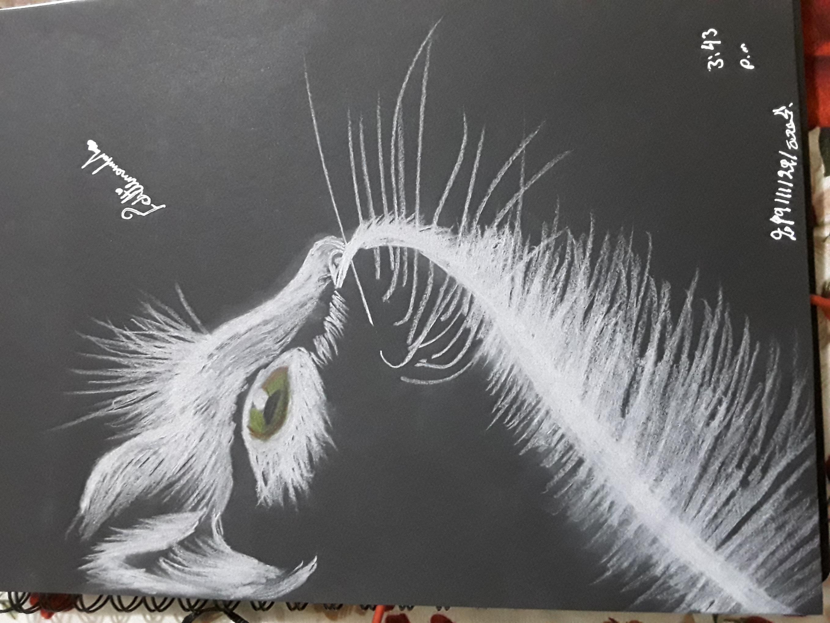 اضغط على الصورة لعرض أكبر.&nbsp;

الإسم:	_١٨٣٧٠٤.jpg&nbsp;
مشاهدات:	1627&nbsp;
الحجم:	545.8 كيلوبايت&nbsp;
الهوية:	890360