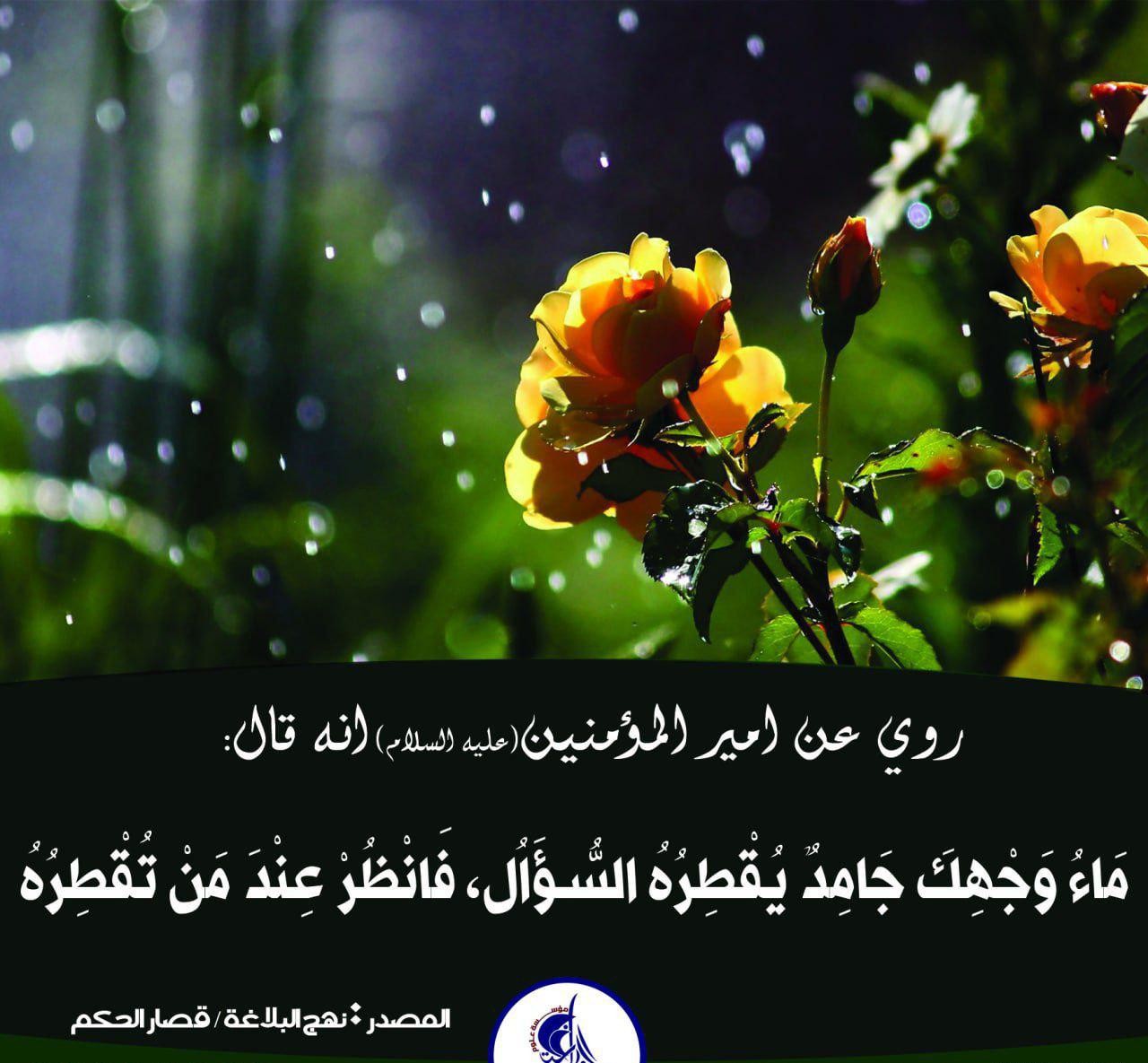اضغط على الصورة لعرض أكبر.&nbsp;

الإسم:	photo_2021-11-04_10-07-40.jpg&nbsp;
مشاهدات:	366&nbsp;
الحجم:	193.9 كيلوبايت&nbsp;
الهوية:	928637