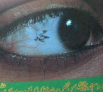 اضغط على الصورة لعرض أكبر.&nbsp;

الإسم:	اسم محمد في بياض &amp;.jpg&nbsp;
مشاهدات:	1&nbsp;
الحجم:	17.7 كيلوبايت&nbsp;
الهوية:	850673