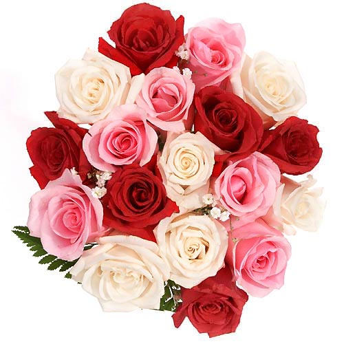 اضغط على الصورة لعرض أكبر.&nbsp;

الإسم:	0002554241300_500X500.jpg&nbsp;
مشاهدات:	1&nbsp;
الحجم:	68.2 كيلوبايت&nbsp;
الهوية:	830698