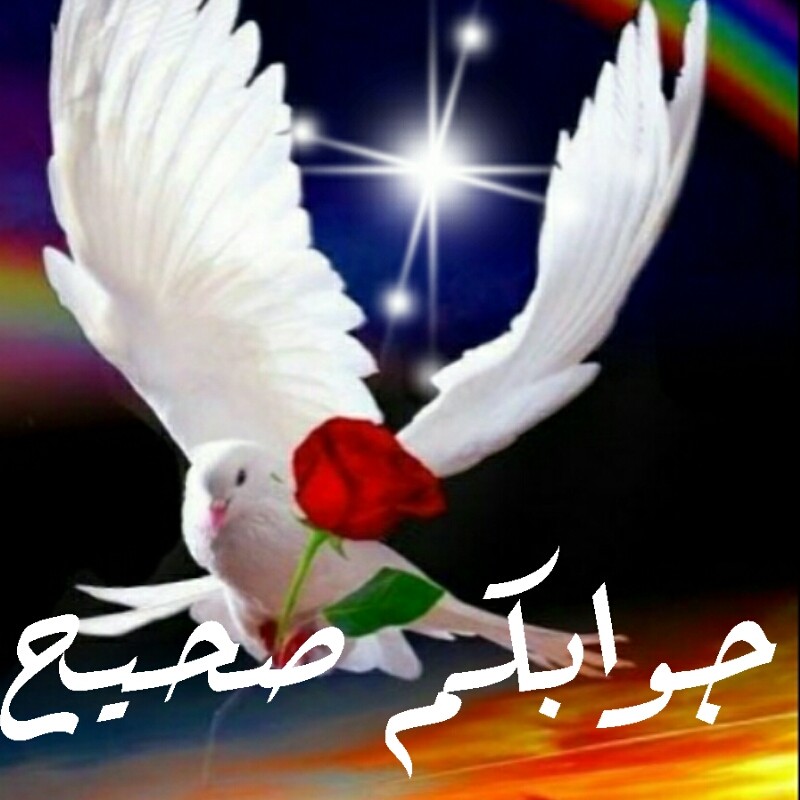 اضغط على الصورة لعرض أكبر.&nbsp;

الإسم:	1586643928868.jpg&nbsp;
مشاهدات:	1232&nbsp;
الحجم:	93.6 كيلوبايت&nbsp;
الهوية:	882728