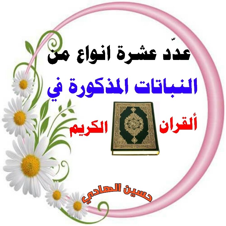 اضغط على الصورة لعرض أكبر.&nbsp;

الإسم:	1593985624439.jpg&nbsp;
مشاهدات:	1155&nbsp;
الحجم:	98.6 كيلوبايت&nbsp;
الهوية:	890174
