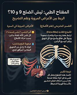 اضغط على الصورة لعرض أكبر.&nbsp;

الإسم:	image_487dce5b (1).jpg&nbsp;
مشاهدات:	0&nbsp;
الحجم:	634.8 كيلوبايت&nbsp;
الهوية:	1076867
