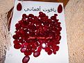 اضغط على الصورة لعرض أكبر. 

الإسم:	ATT00013.jpg 
مشاهدات:	2681 
الحجم:	92.3 كيلوبايت 
الهوية:	826002