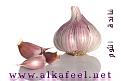 اضغط على الصورة لعرض أكبر. 

الإسم:	garlic.jpg 
مشاهدات:	2342 
الحجم:	25.5 كيلوبايت 
الهوية:	826246