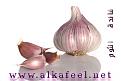 اضغط على الصورة لعرض أكبر. 

الإسم:	garlic.jpg 
مشاهدات:	2567 
الحجم:	25.5 كيلوبايت 
الهوية:	826246