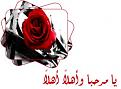 اضغط على الصورة لعرض أكبر. 

الإسم:	CJC19073.jpg 
مشاهدات:	1356 
الحجم:	14.6 كيلوبايت 
الهوية:	826423