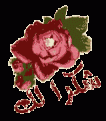 اضغط على الصورة لعرض أكبر. 

الإسم:	10441677pq4.gif 
مشاهدات:	1080 
الحجم:	5.4 كيلوبايت 
الهوية:	826496