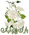 اضغط على الصورة لعرض أكبر. 

الإسم:	13.jpg 
مشاهدات:	1731 
الحجم:	13.0 كيلوبايت 
الهوية:	826512