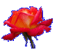 اضغط على الصورة لعرض أكبر. 

الإسم:	54223597.gif 
مشاهدات:	2471 
الحجم:	25.4 كيلوبايت 
الهوية:	830184