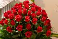 اضغط على الصورة لعرض أكبر. 

الإسم:	Romantic-Red-Roses.jpg 
مشاهدات:	1096 
الحجم:	450.9 كيلوبايت 
الهوية:	832213