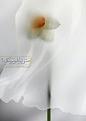 اضغط على الصورة لعرض أكبر. 

الإسم:	BphPujbIUAAGOrS.jpg 
مشاهدات:	2560 
الحجم:	23.8 كيلوبايت 
الهوية:	833494