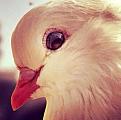 اضغط على الصورة لعرض أكبر. 

الإسم:	1383199_1561545820733351_3652495611926865384_n.jpg 
مشاهدات:	3288 
الحجم:	48.8 كيلوبايت 
الهوية:	834562