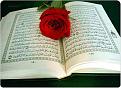 اضغط على الصورة لعرض أكبر. 

الإسم:	998692_543257349043213_1080597114_n.jpg 
مشاهدات:	2081 
الحجم:	40.3 كيلوبايت 
الهوية:	834669