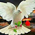اضغط على الصورة لعرض أكبر. 

الإسم:	mmexport1413239533019.jpg 
مشاهدات:	2099 
الحجم:	13.2 كيلوبايت 
الهوية:	834695