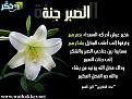 اضغط على الصورة لعرض أكبر. 

الإسم:	image.jpg 
مشاهدات:	5210 
الحجم:	63.1 كيلوبايت 
الهوية:	834751