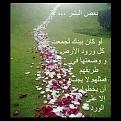 اضغط على الصورة لعرض أكبر. 

الإسم:	image.jpg 
مشاهدات:	3053 
الحجم:	121.2 كيلوبايت 
الهوية:	835036