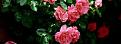 اضغط على الصورة لعرض أكبر. 

الإسم:	imagesظز.jpg 
مشاهدات:	1045 
الحجم:	7.8 كيلوبايت 
الهوية:	835098