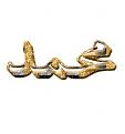 اضغط على الصورة لعرض أكبر. 

الإسم:	217mohammedep0.jpg 
مشاهدات:	1049 
الحجم:	6.2 كيلوبايت 
الهوية:	835165