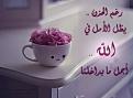 اضغط على الصورة لعرض أكبر. 

الإسم:	photo -5.jpg 
مشاهدات:	5500 
الحجم:	40.5 كيلوبايت 
الهوية:	835232