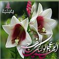 اضغط على الصورة لعرض أكبر. 

الإسم:	10487203_1602621369956848_8547457459425269518_n.jpg 
مشاهدات:	3056 
الحجم:	45.2 كيلوبايت 
الهوية:	835233