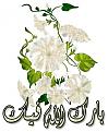 اضغط على الصورة لعرض أكبر. 

الإسم:	image.jpg 
مشاهدات:	1238 
الحجم:	41.2 كيلوبايت 
الهوية:	835417