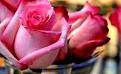 اضغط على الصورة لعرض أكبر. 

الإسم:	images (11).jpg 
مشاهدات:	4423 
الحجم:	5.3 كيلوبايت 
الهوية:	835633