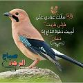 اضغط على الصورة لعرض أكبر. 

الإسم:	IMG-20141227-WA0001.jpg 
مشاهدات:	1086 
الحجم:	87.9 كيلوبايت 
الهوية:	835650