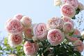 اضغط على الصورة لعرض أكبر. 

الإسم:	d9b34415d8e91e32dedfe669ae6c0a01.jpg 
مشاهدات:	1124 
الحجم:	82.0 كيلوبايت 
الهوية:	835673